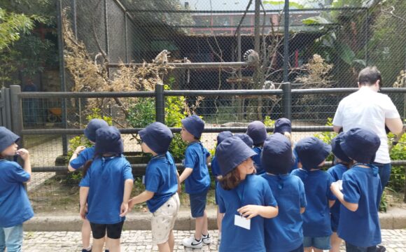 Jardim de Infância – Visita ao Zoo da Maia