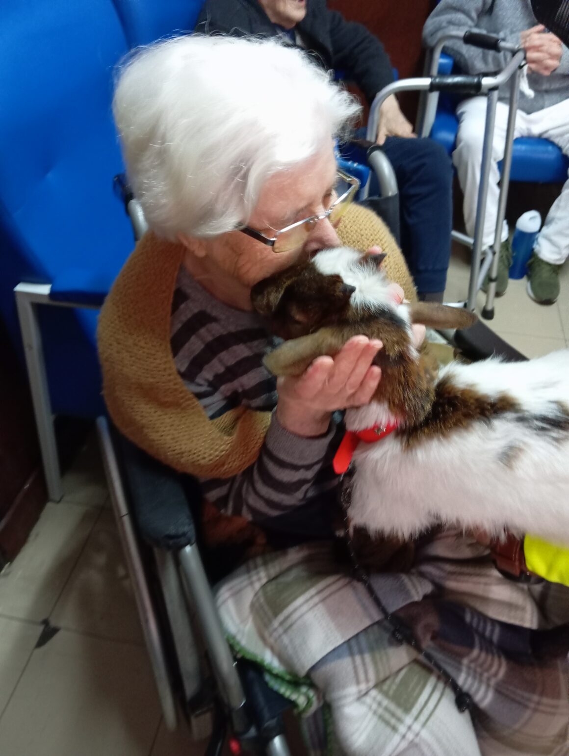 Lar de Santo António acolhe visita Inusitada continuando a interação entre utentes e animais