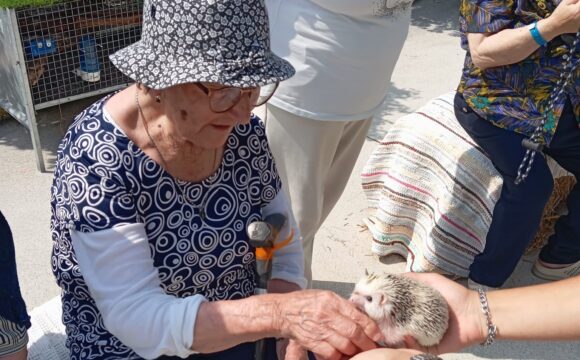 Visita ao Quintal da Barroqueira Visita ao Quintal da Barroqueira