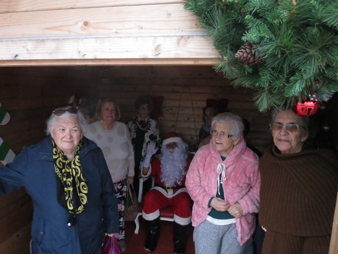 Utentes dos Lares de Santo António e Silva Soares visitam Mercadinho de Natal