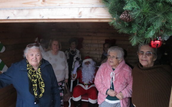 Utentes dos Lares de Santo António e Silva Soares visitam Mercadinho de Natal